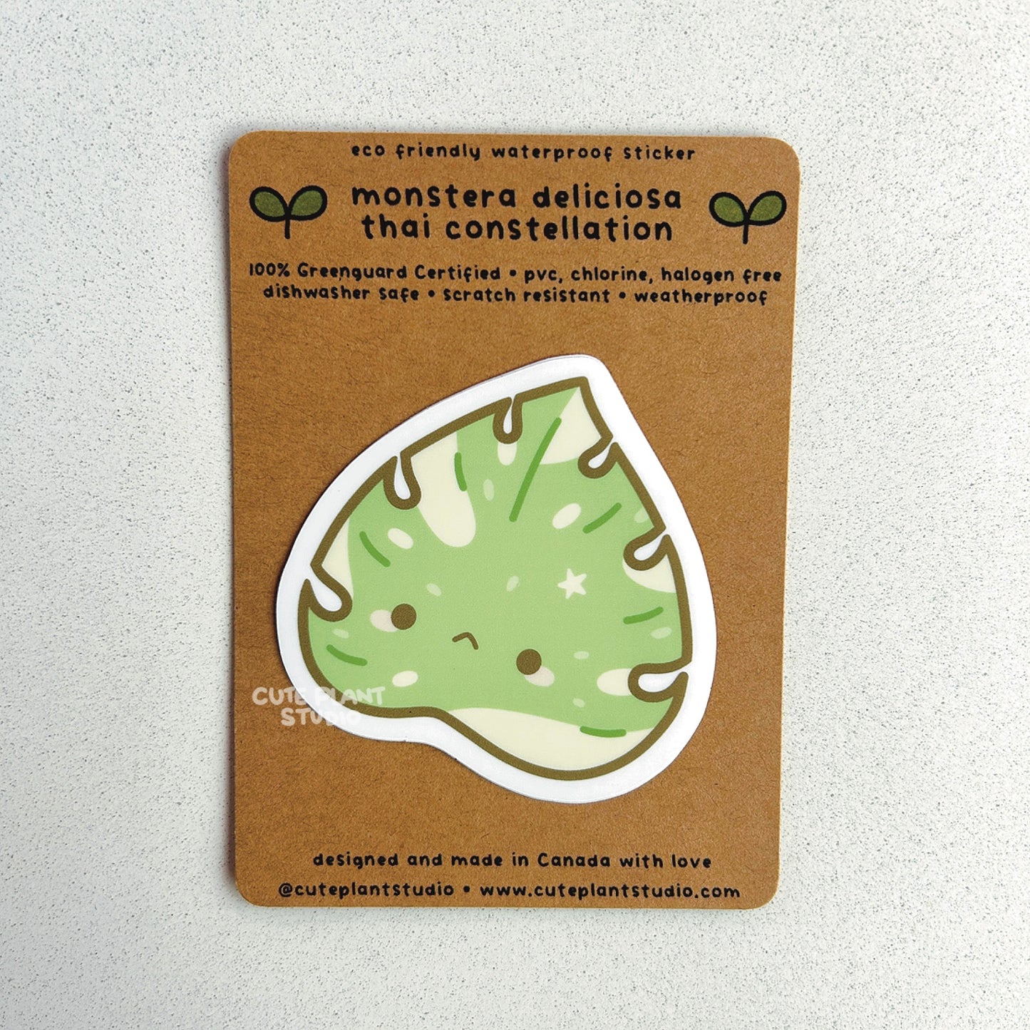 Monstera Thai Constellation Leaf Sticker