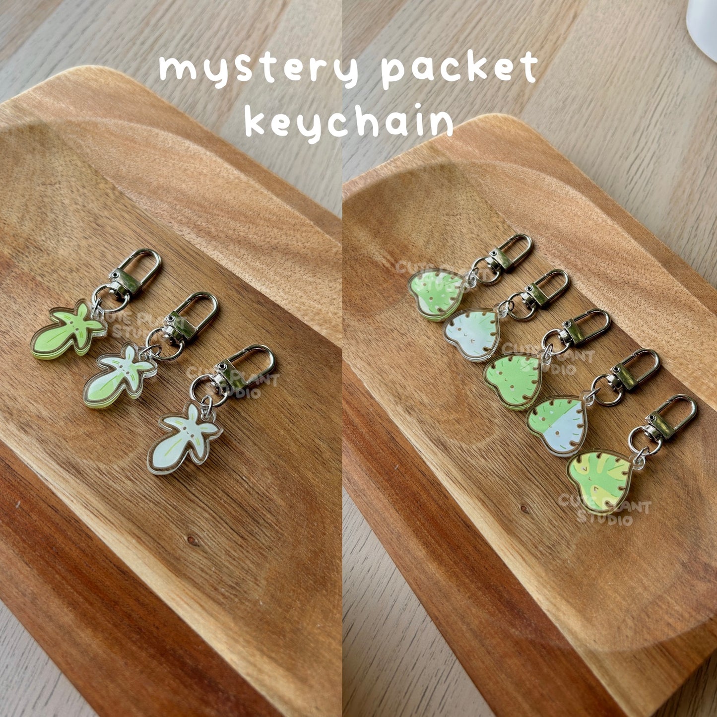 Mystery Keychain