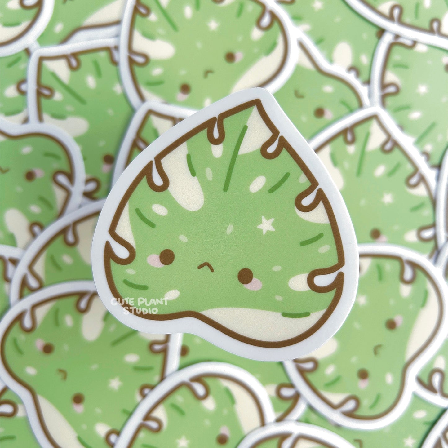 Monstera Thai Constellation Leaf Sticker