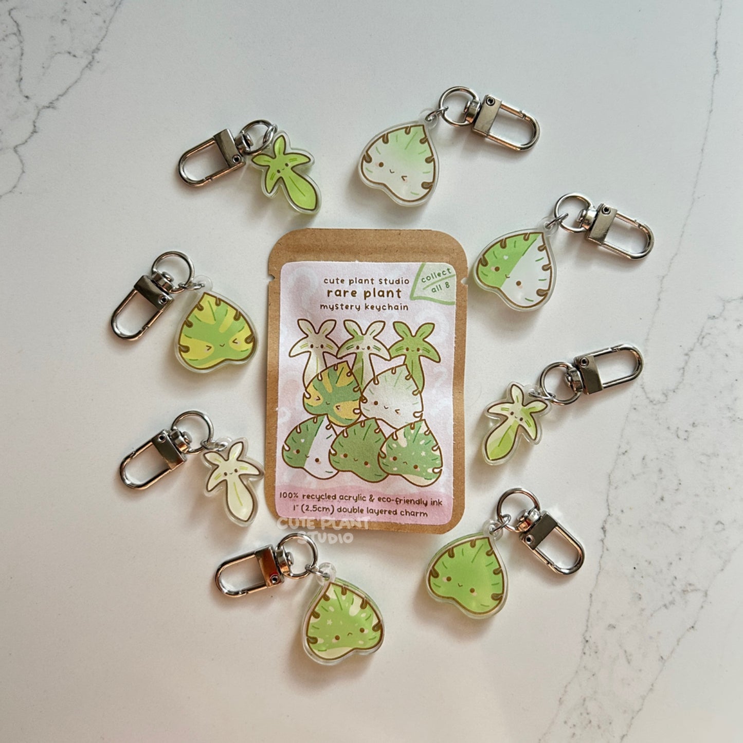 Mystery Keychain