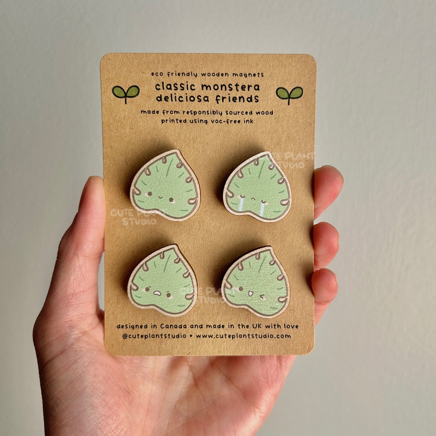 Set of 4 Classic Monstera Wooden Magnets