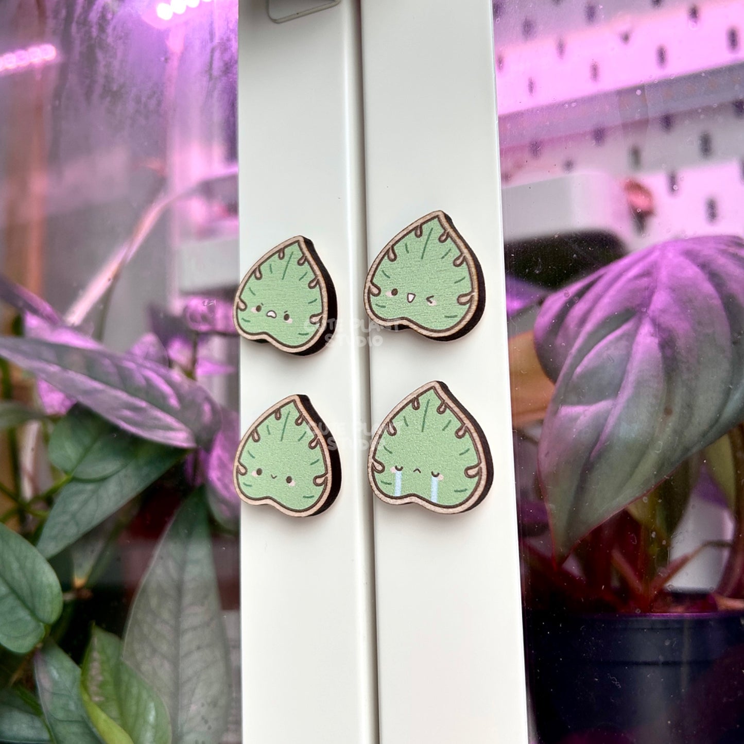 Set of 4 Classic Monstera Wooden Magnets