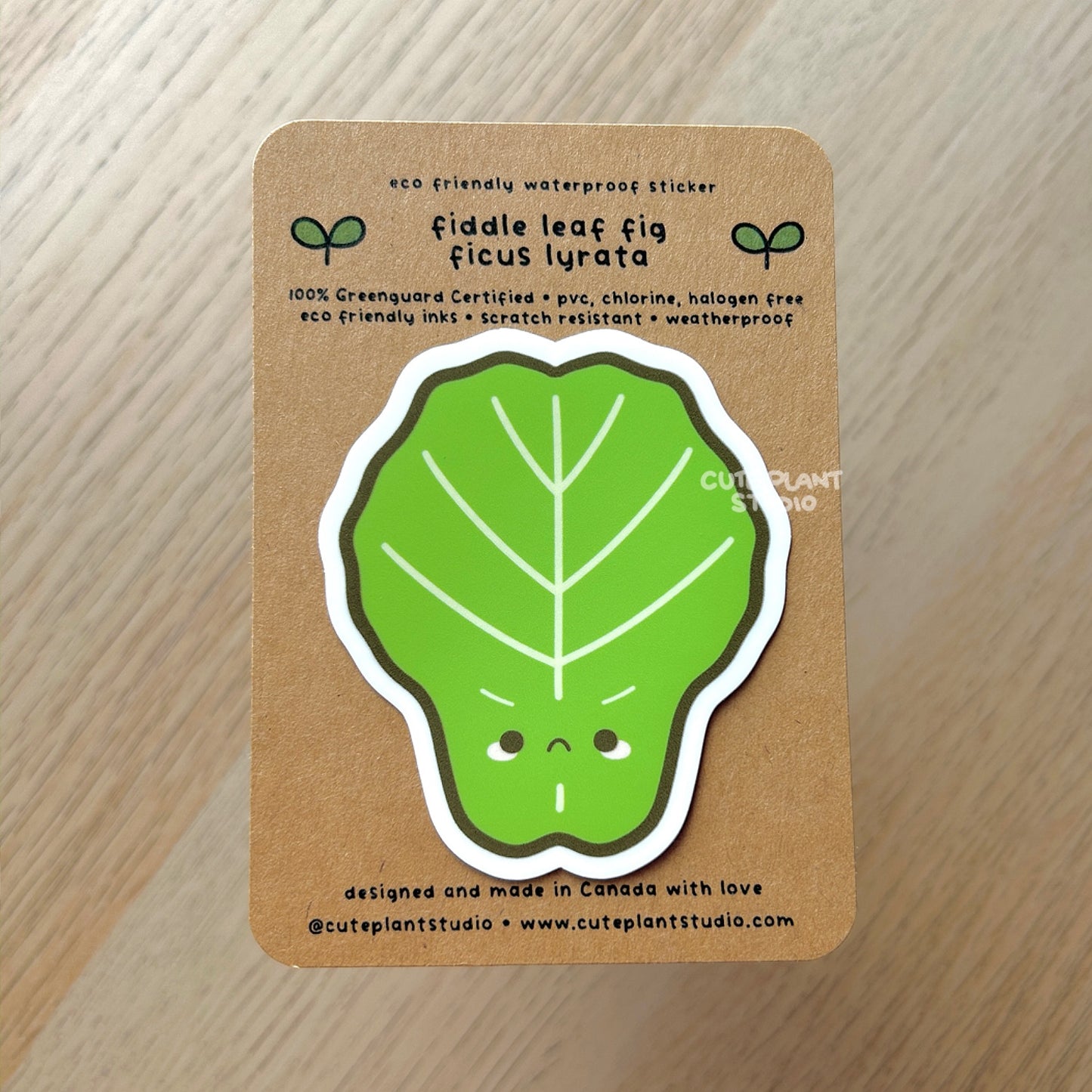 Fiddle Leaf Fig Sticker