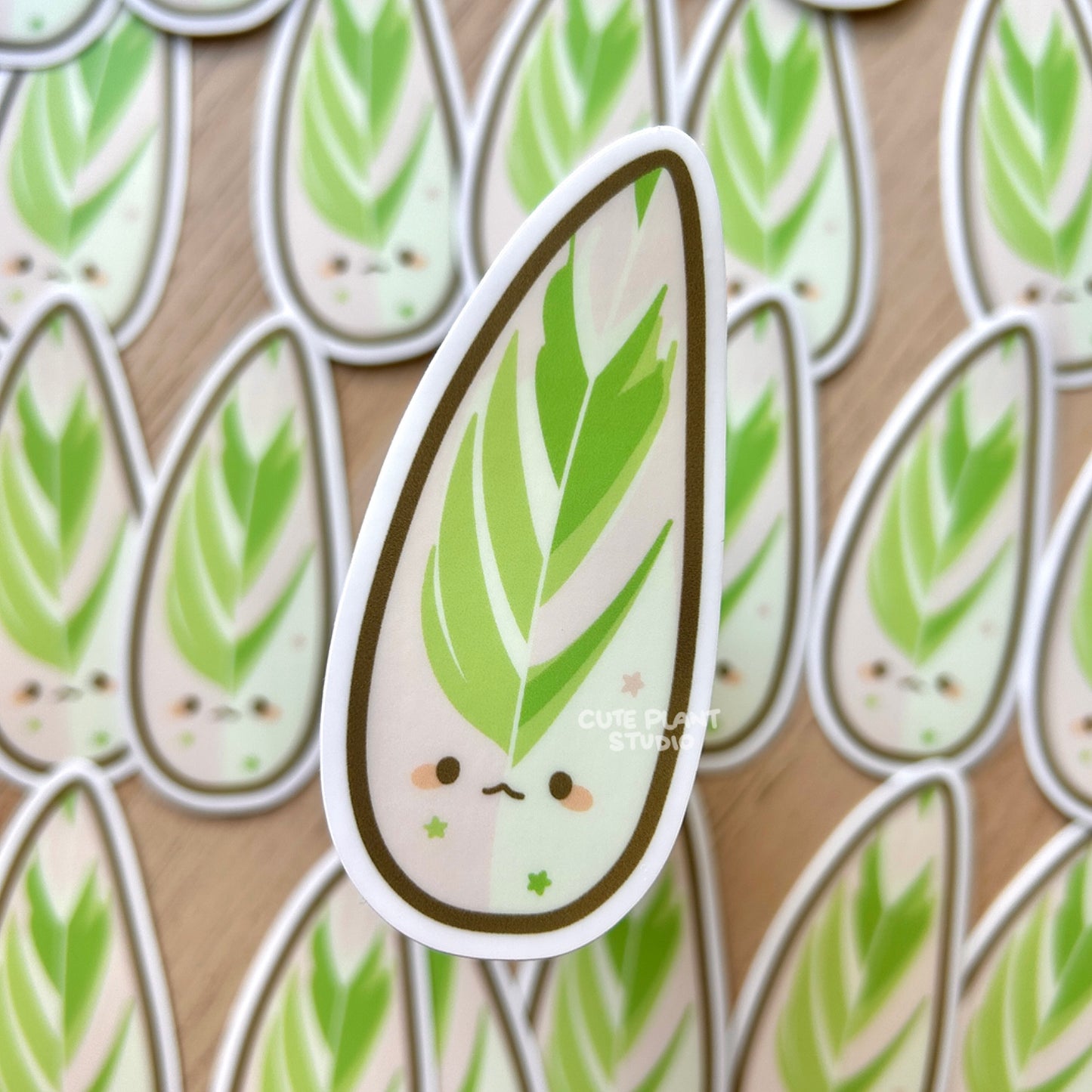 Stromanthe Triostar Sticker
