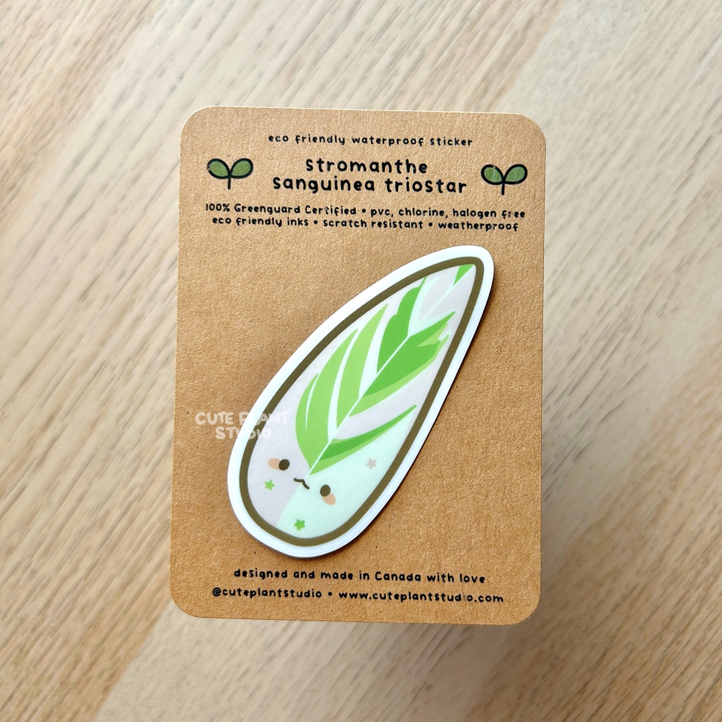 Stromanthe Triostar Sticker