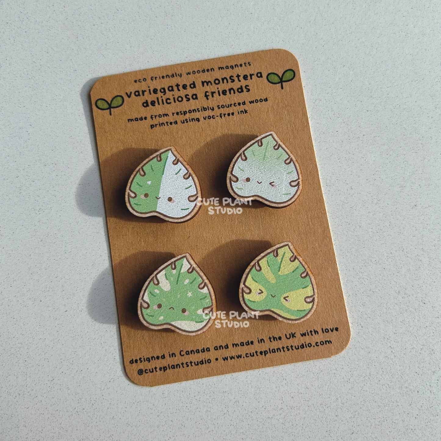 Set of 4 Variegated Monstera Wooden Magnets