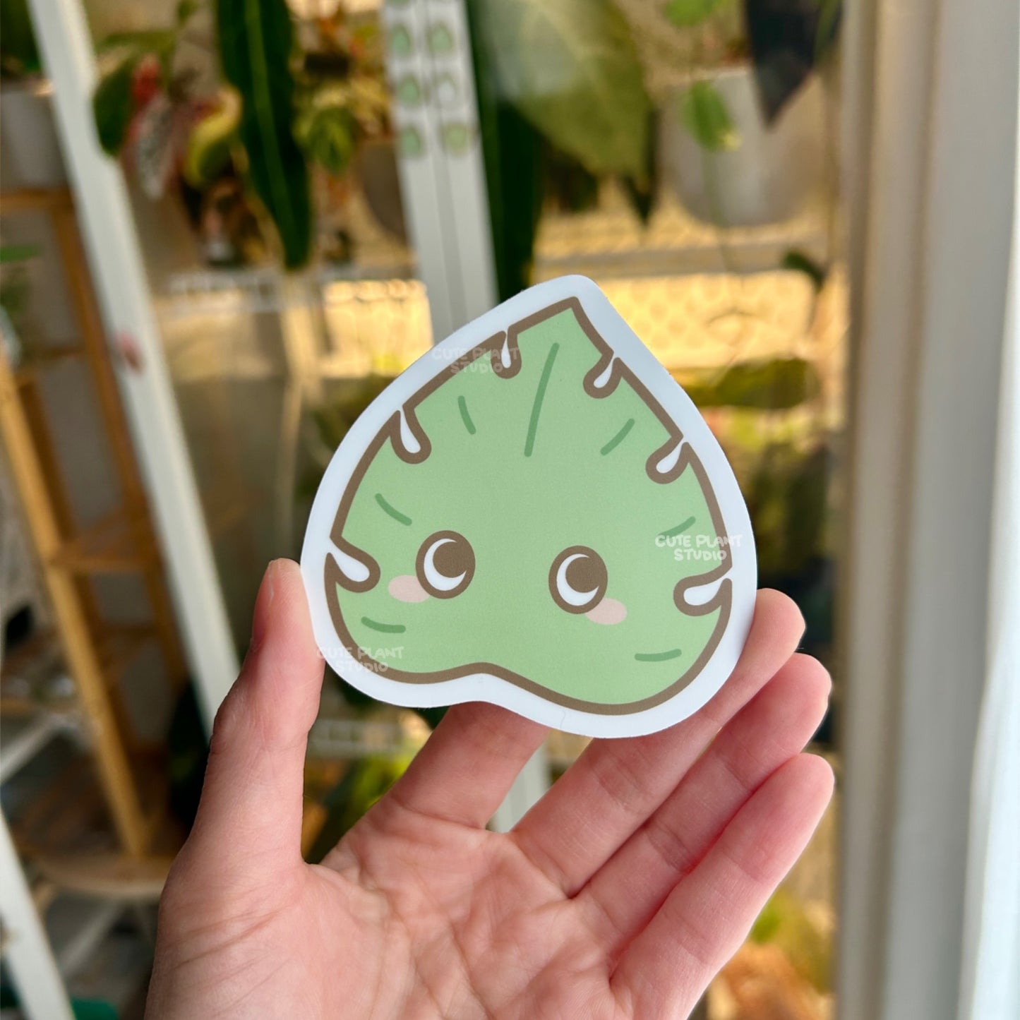 Monstera Eyes Sticker