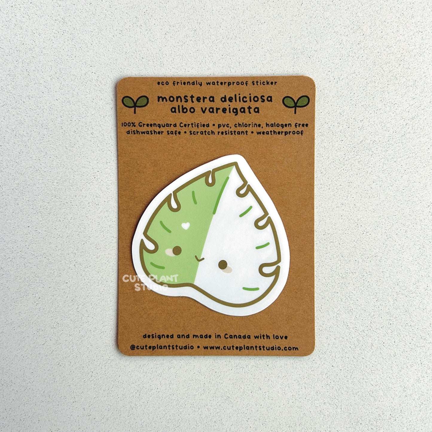 Monstera Albo Leaf Sticker