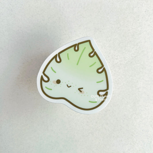 Monstera Mint Leaf Sticker