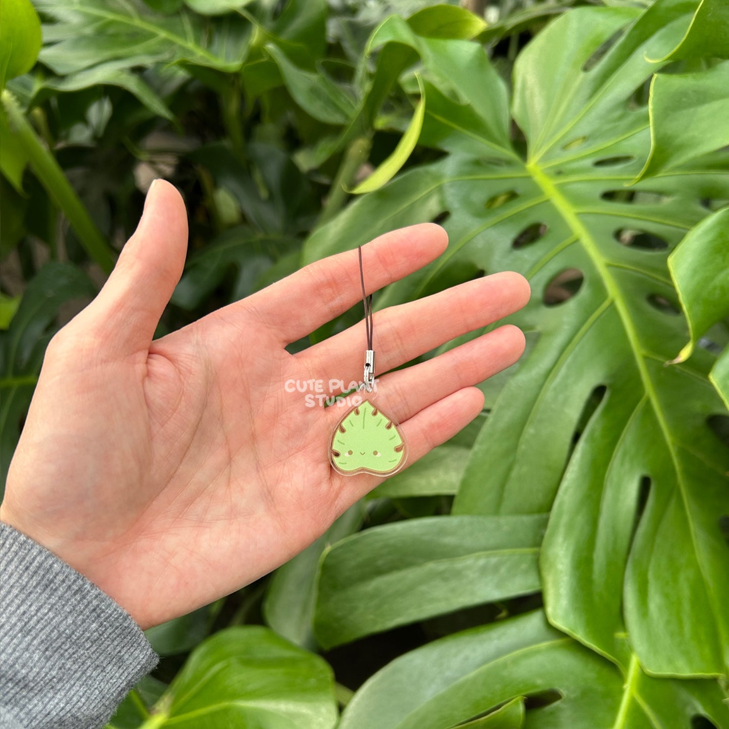 Classic Monstera Phone Charm