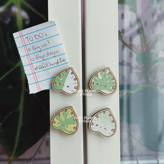 Set of 4 Variegated Monstera Wooden Magnets