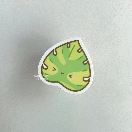 Monstera Aurea Leaf Sticker