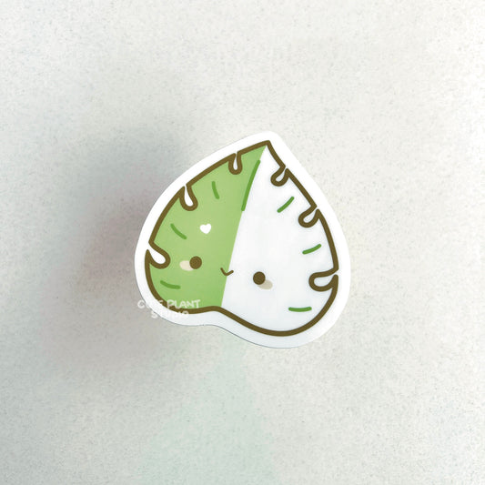 Monstera Albo Leaf Sticker