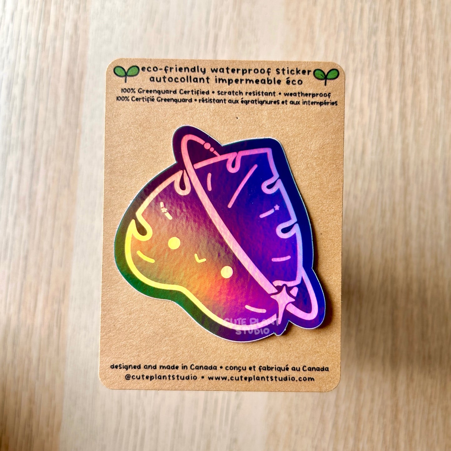 Holographic Space Monstera Leaf Sticker