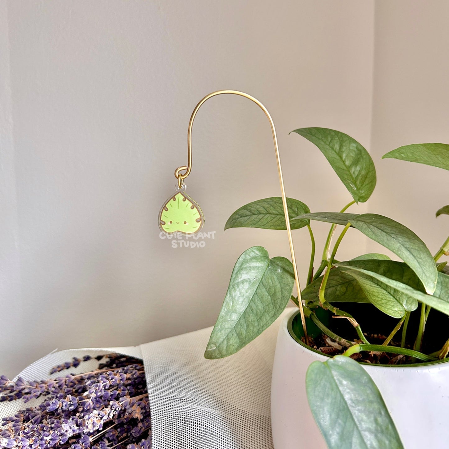 Simple Plant Stake