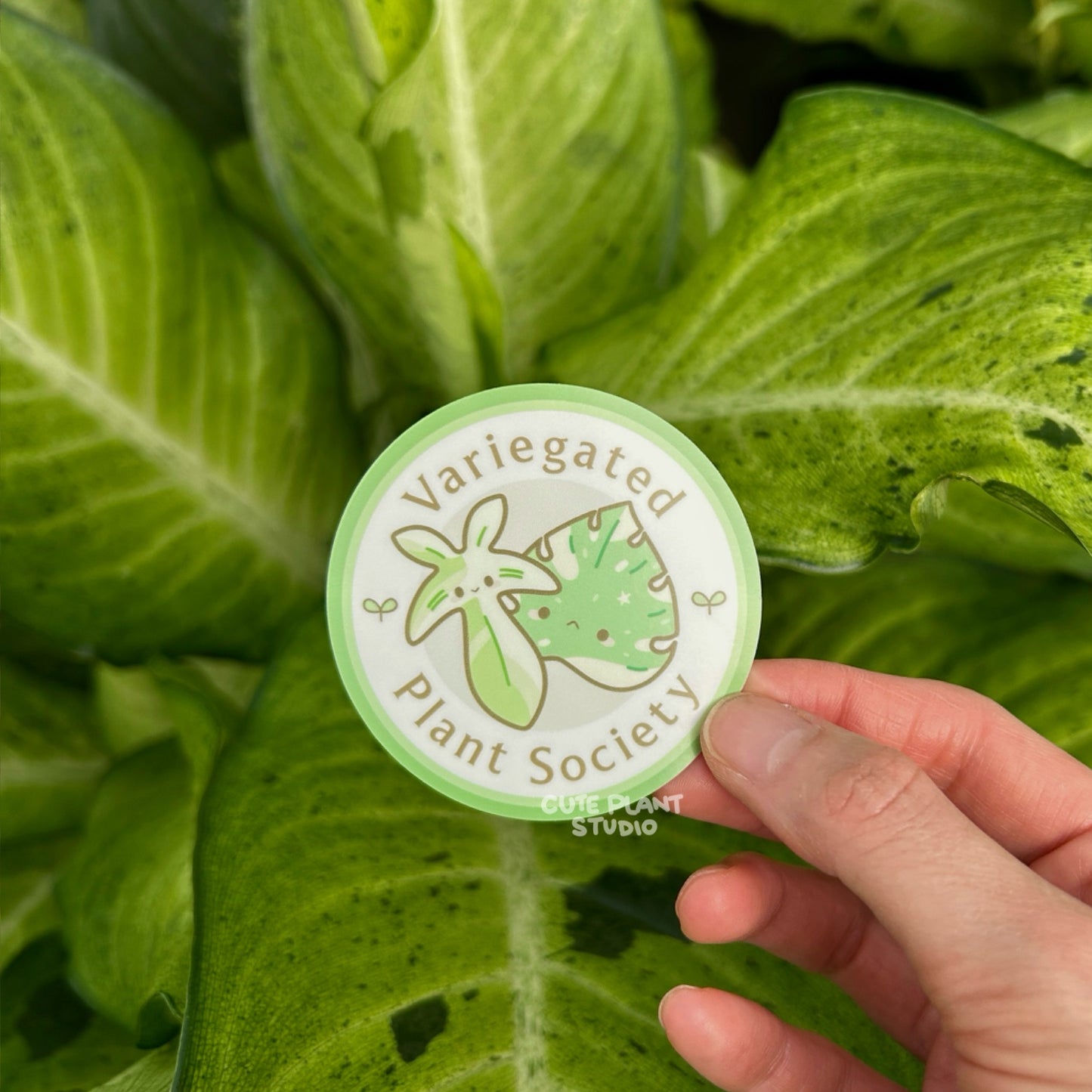 Variegated Plant Society Sticker