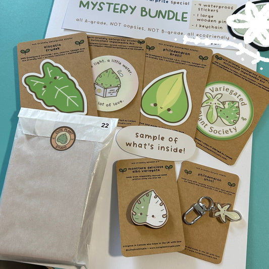 LIMITED TIME Mystery Bundle