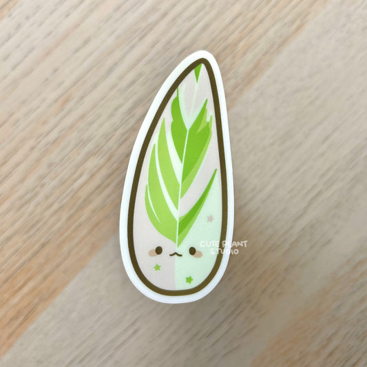 Stromanthe Triostar Sticker