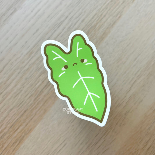 Alocasia Frydek Sticker