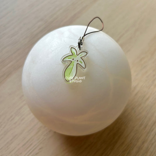Philodendron Variegated Beauty Phone Charm