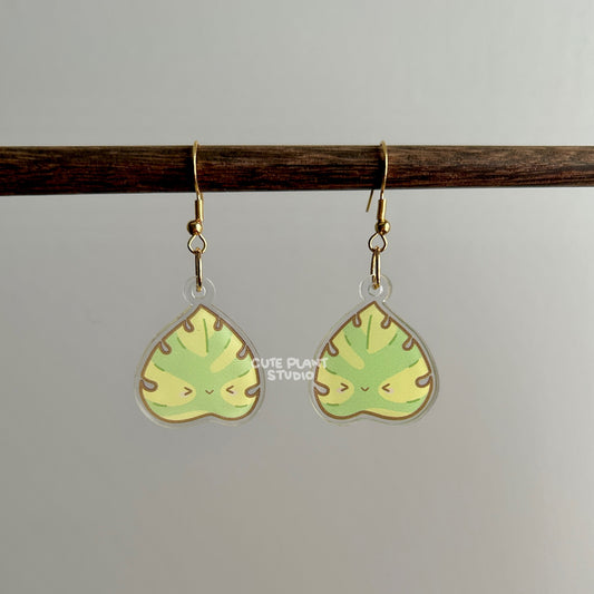 Monstera Aurea Earrings